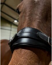 Anatomiczne Hackamore czanki 14,5cm - obrazek 5