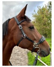 Czanki 14,5cm do Hackamore FairyHorse - obrazek 2