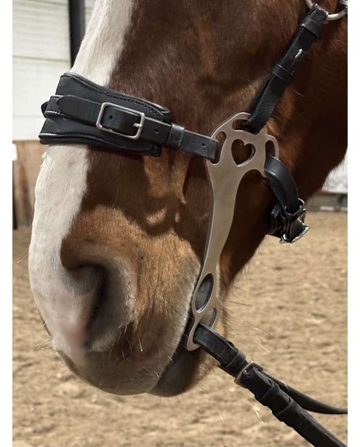 hackamore-z-dlugimi-czankami-z-mozliwoscia-regulacji (1)