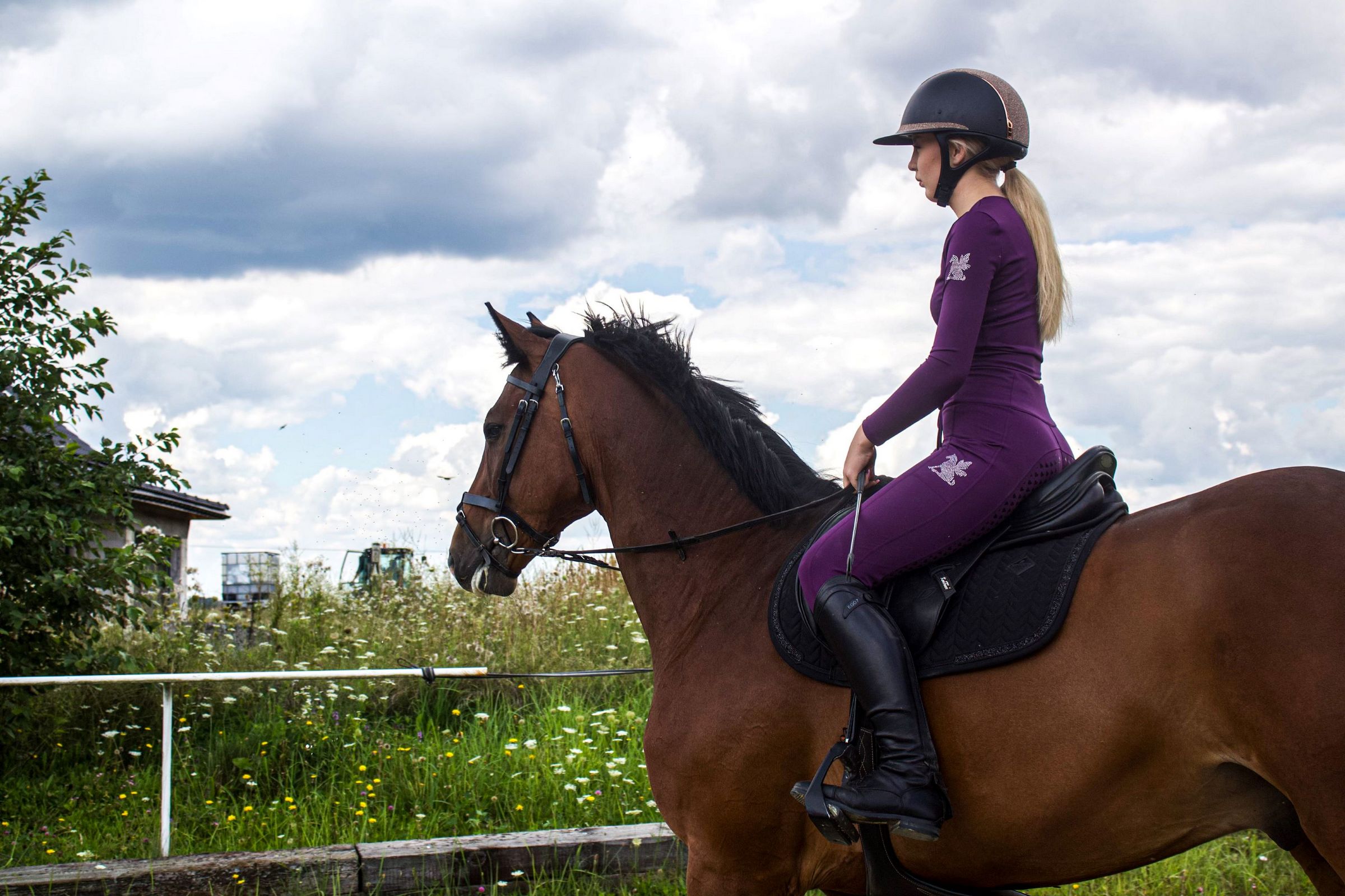 zdjęcie - o fairyhorse