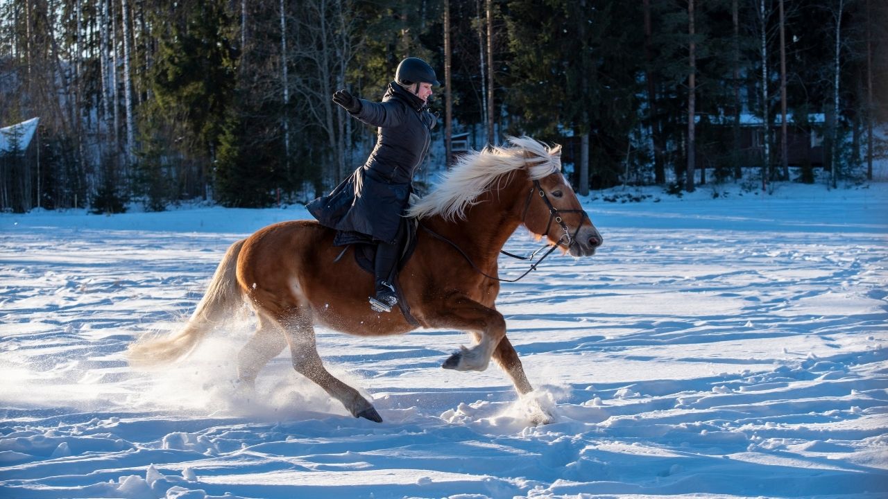 Odzież jeździecka na zimę — bryczesy zimowe i warstwy termiczne
